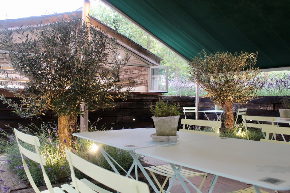 Elkstone KNEAD Bakery (Click & Collect)