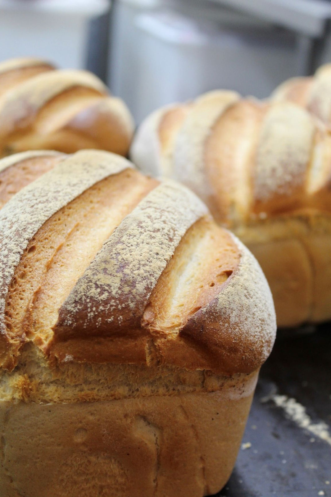 BAKER BOYS KNEAD Bakery (Click & Collect)