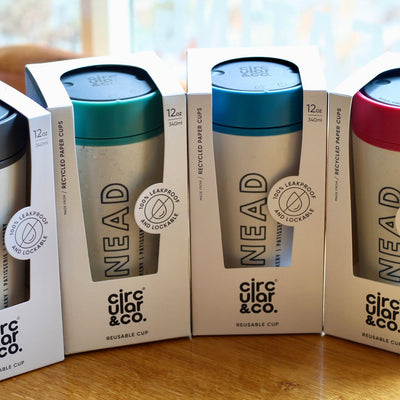 Four KNEAD reusable cups with different colored lids in packaging on a wooden surface.